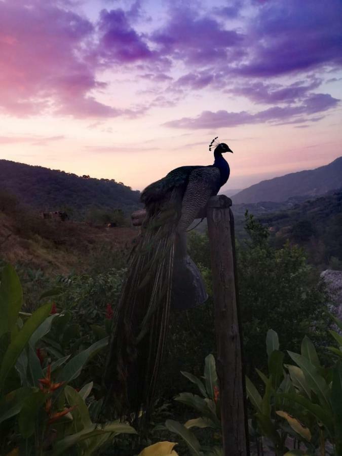 Reserva Natural Tierra Adentro Country house